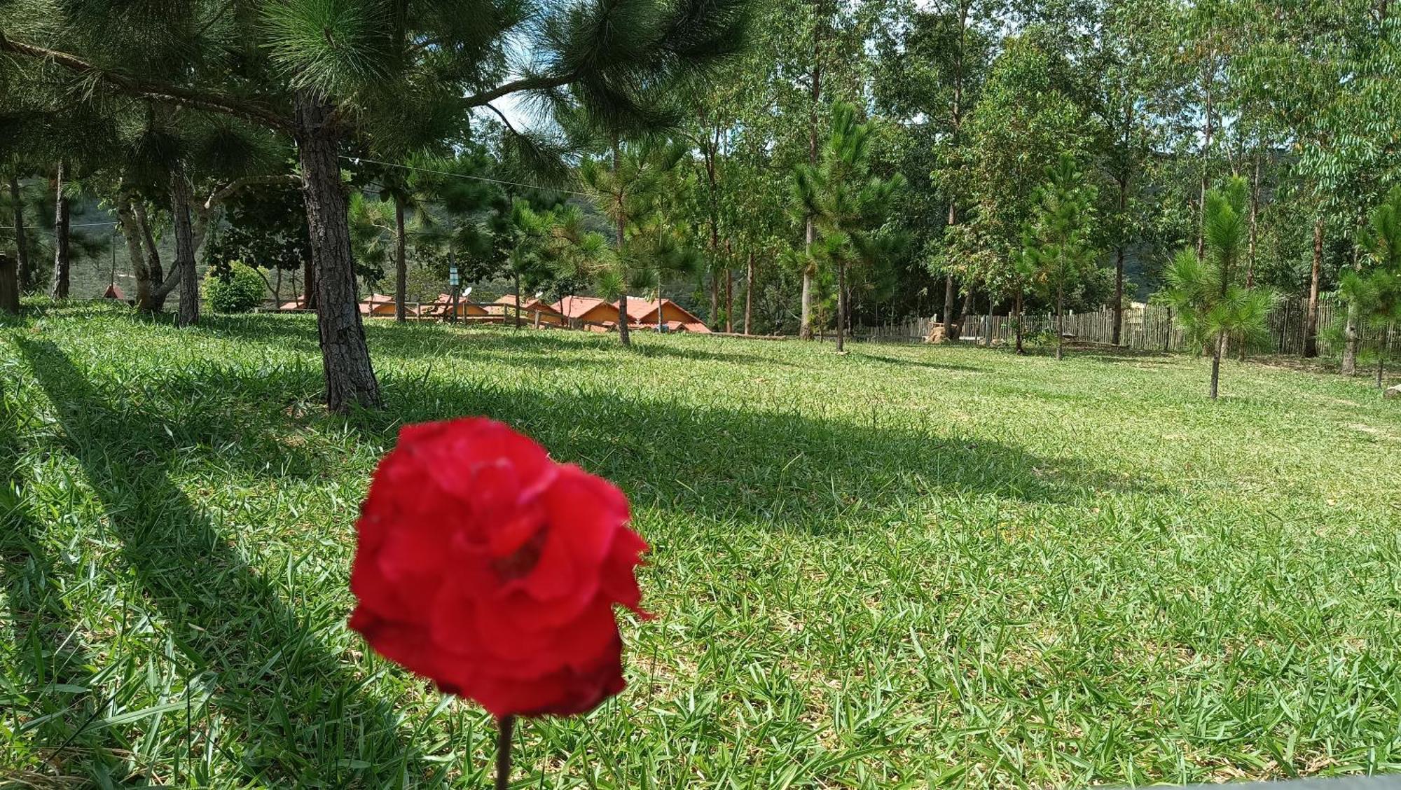 Chalés e Camping do Robinho 1 São Tomé das Letras Exterior foto